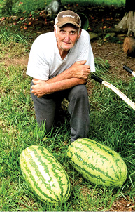 David Armstrong (watermelons).psd