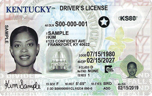 Ky Secure Drivers License Sample 21.psd